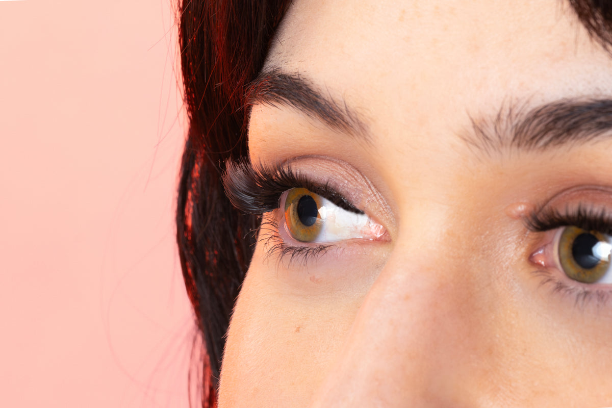 DIY Reusable Lash Extension Kit | Sable